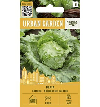 Huvudsallad "Beata" - Organic Way