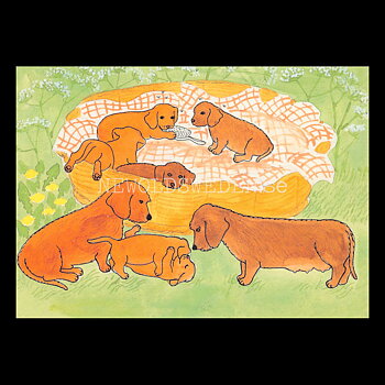 Hunden Stures valpar - Gunilla Ingves - Vykort A6 - 406