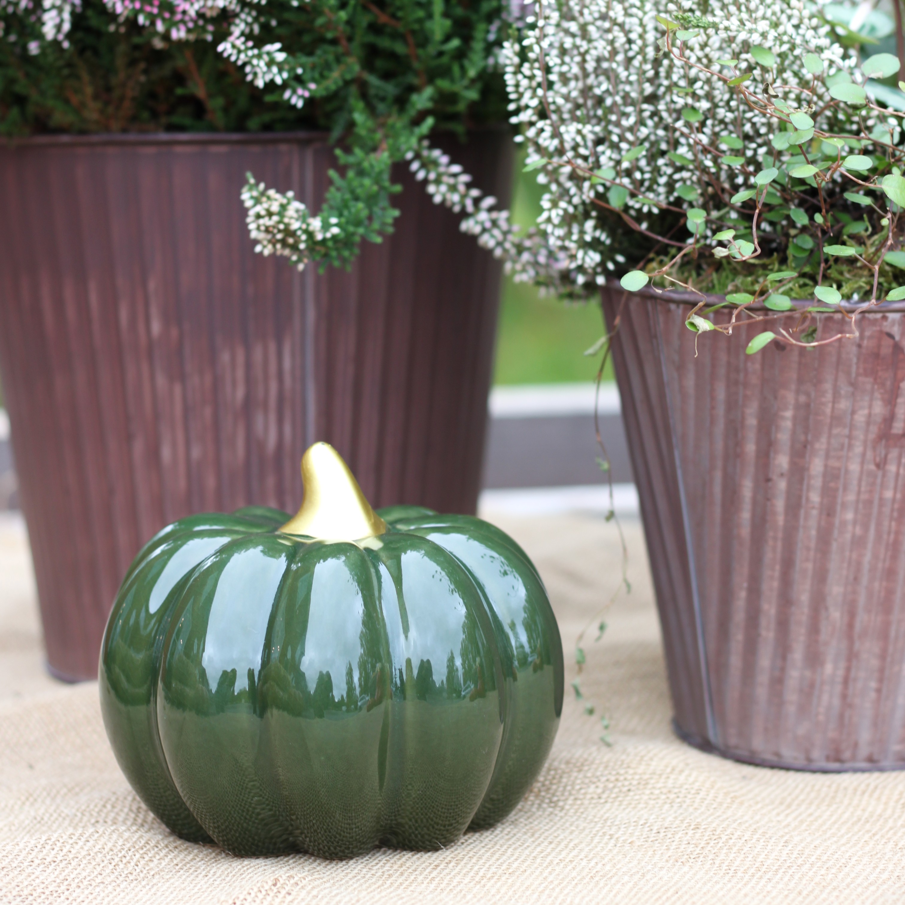 Pumpa keramik grön - XL - 2