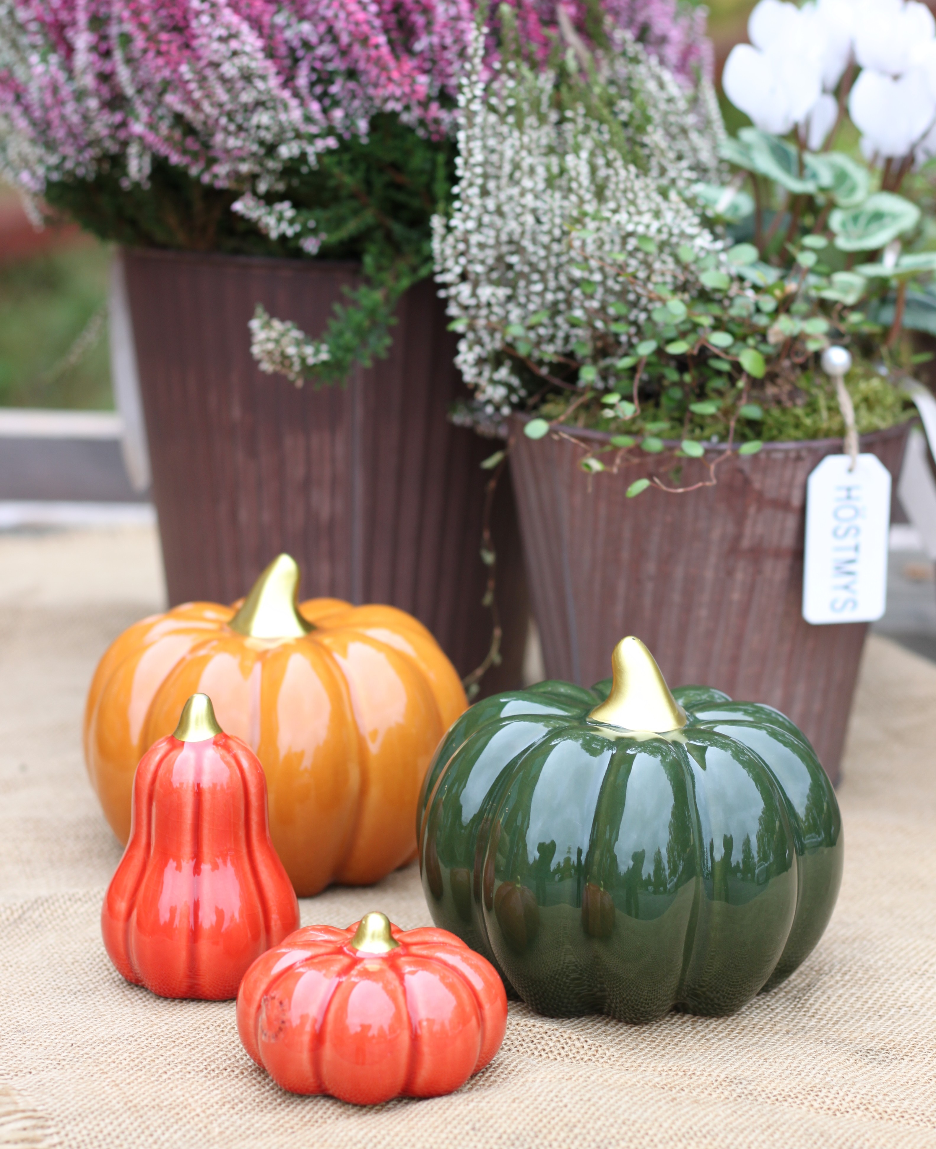 Pumpa keramik grön - XL - 4