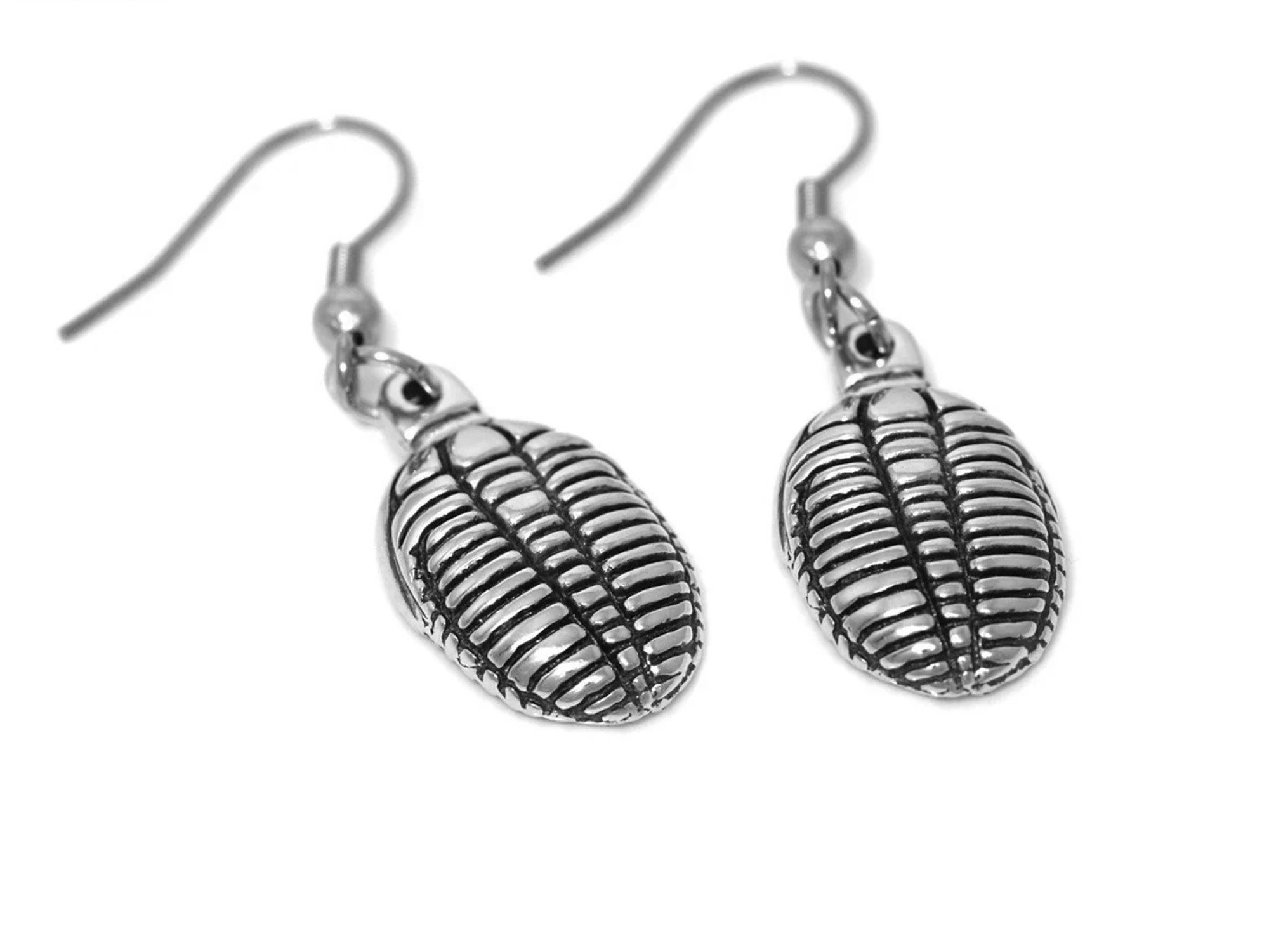 Trilobit Örhängen, Handgjort Fossil Smycke - 2