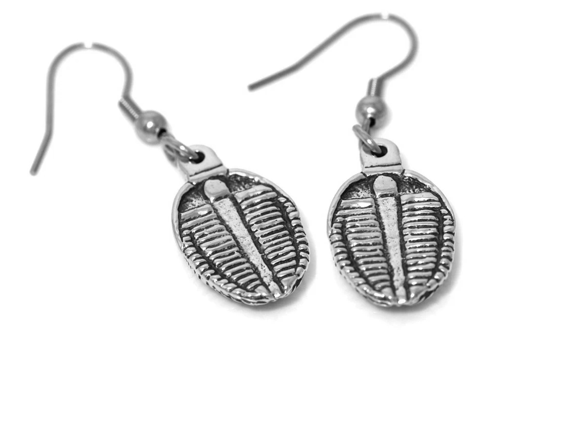 Trilobit Örhängen, Handgjort Fossil Smycke - 3