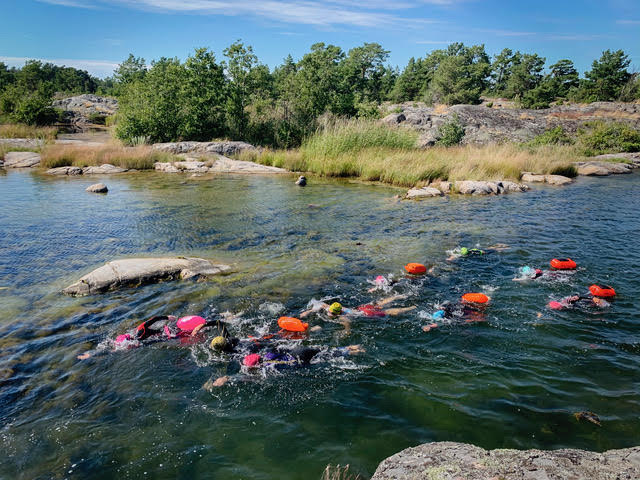 Adventure swimming in Nämdöskärgårdens National Park - July 12, 2026 - 3