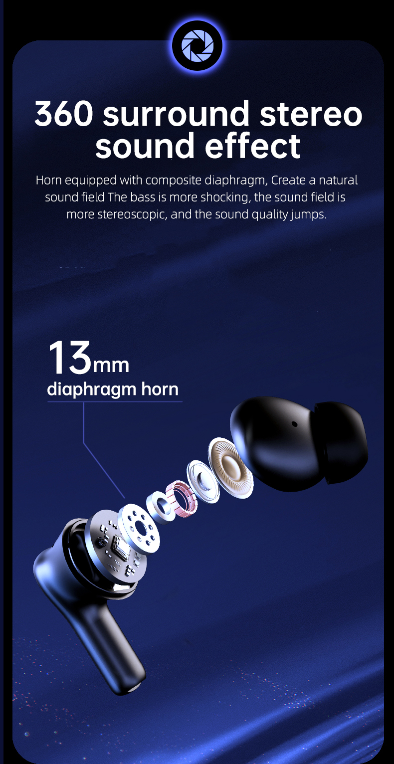 Philippe Palmer EarBuds View Black - 10