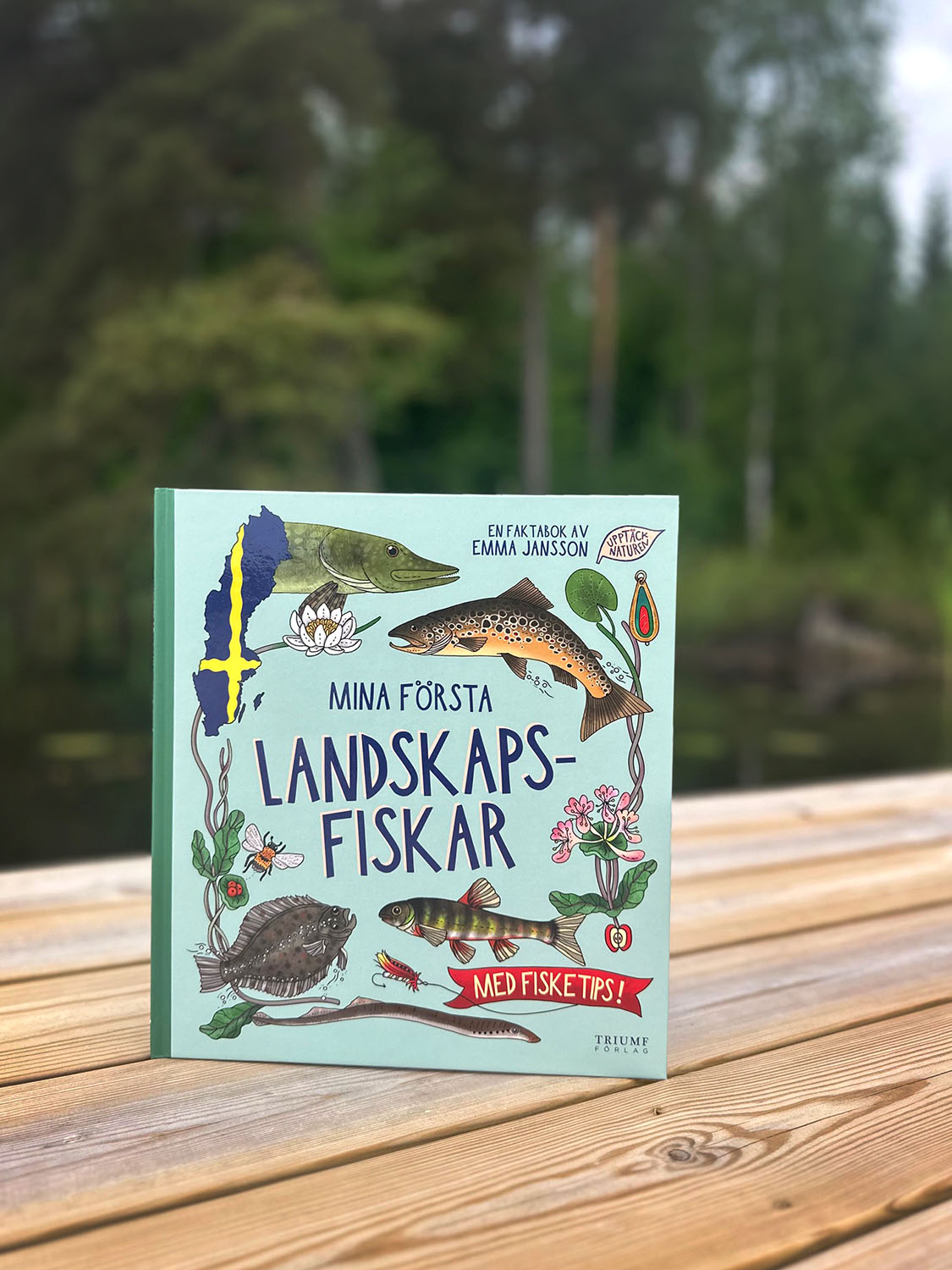Landskapspaketet - 3