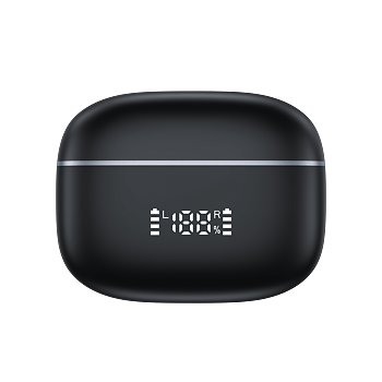 Philippe Palmer EarBuds Max Black