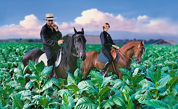 La Flor Dominicana – en återkomst värd att fira
