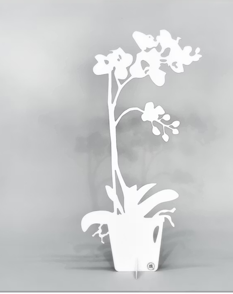 Orkidé Eternity, Vit- Älskaplåt 