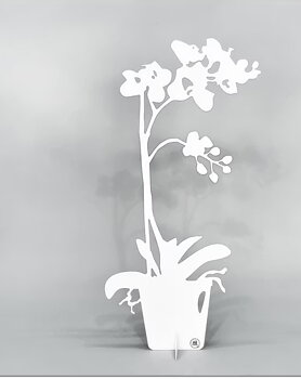 Orkidé Eternity, Vit- Älskaplåt 