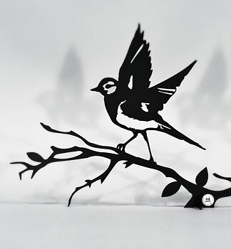 Sädesärla ,Svart- Älskaplåt 