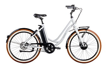 Elcykel Ecoride c119 Ambassador AXS H-SS-Front 26