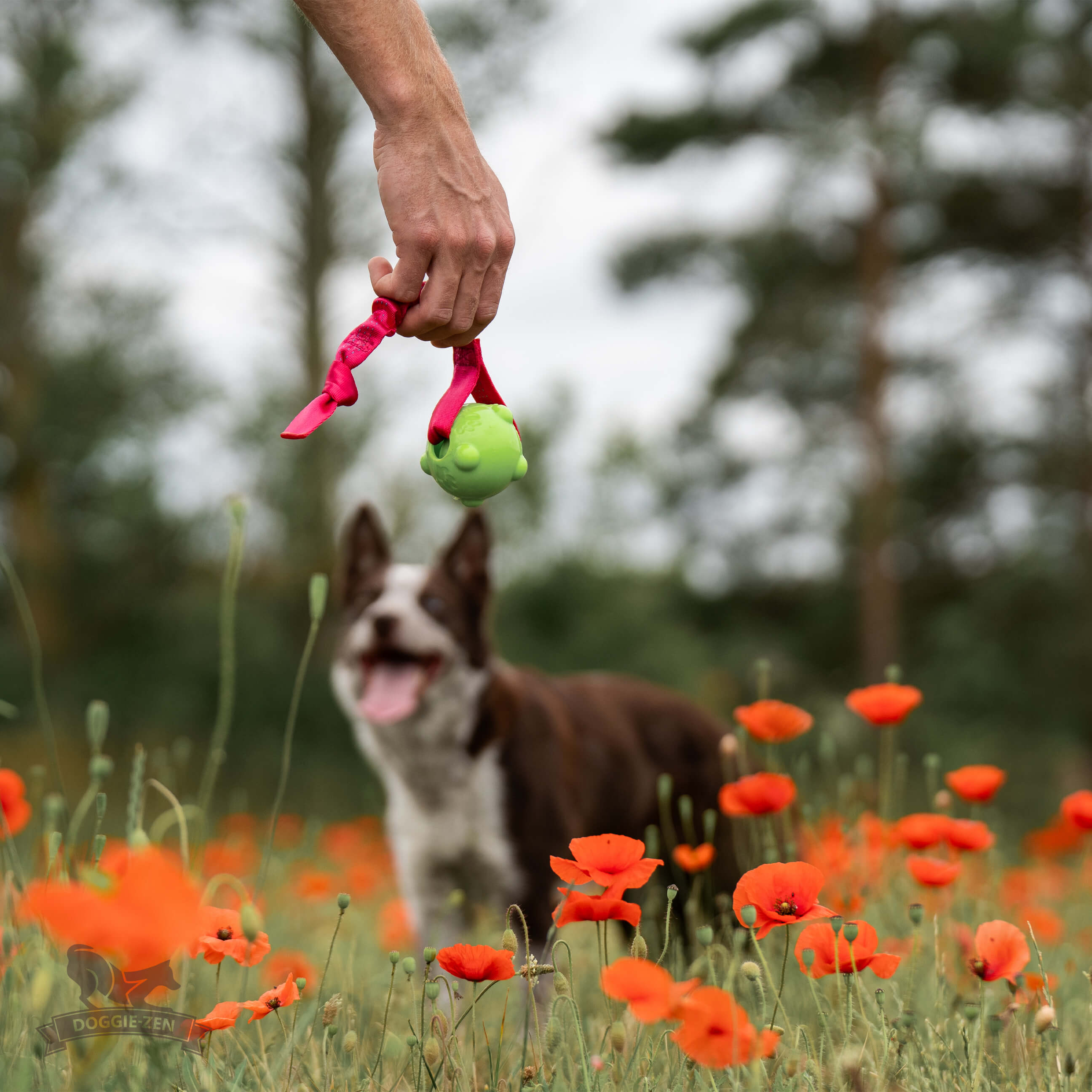 Bungee Knot Tug L with Amazing Squeaker Ball M - 4