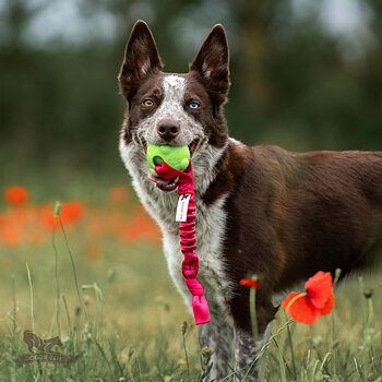 Bungee Knot Tug L with Amazing Squeaker Ball M