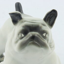 White Arabia Bulldog 13/11 cm (1950s) (2)