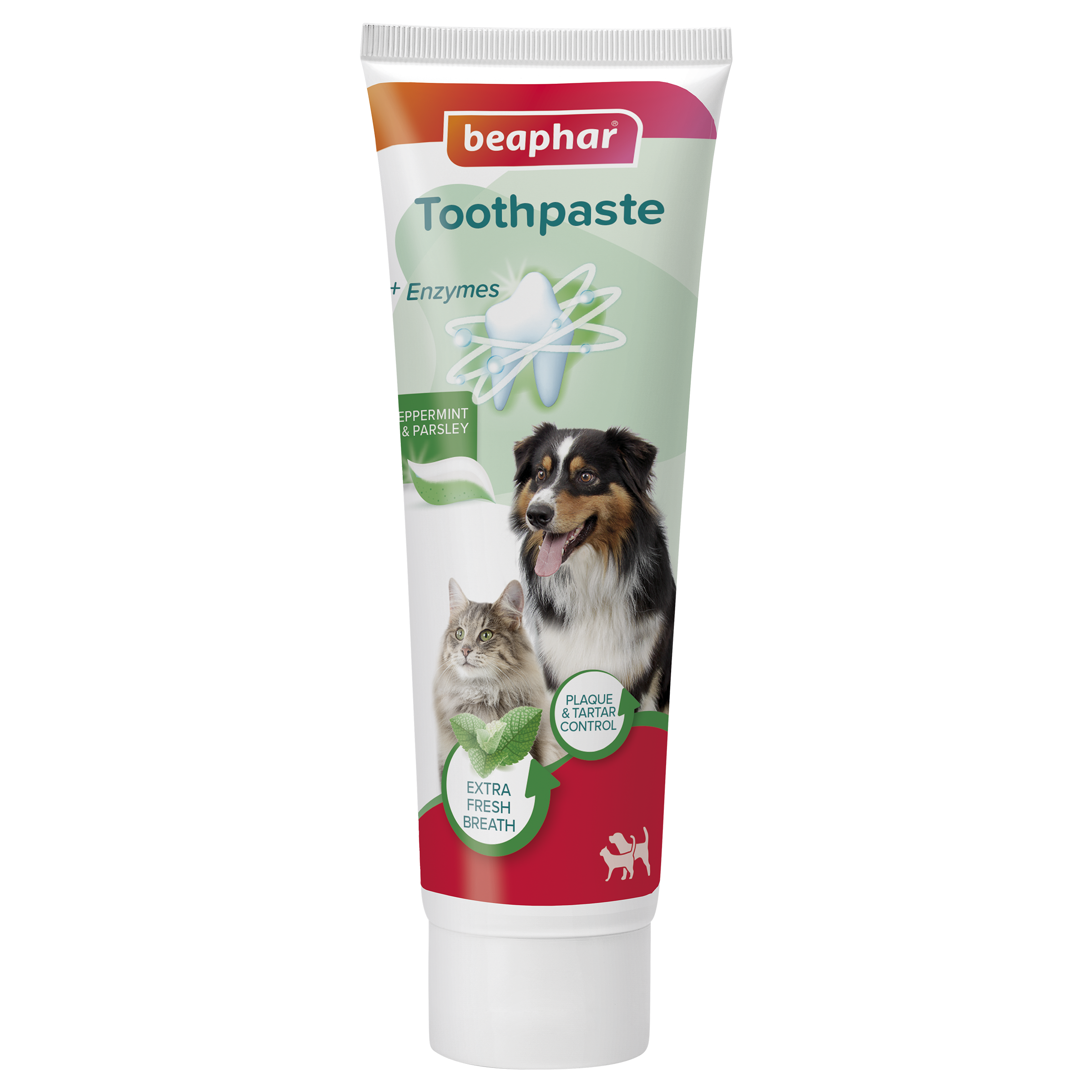Tandkräm mint & persilja 100g, Beaphar