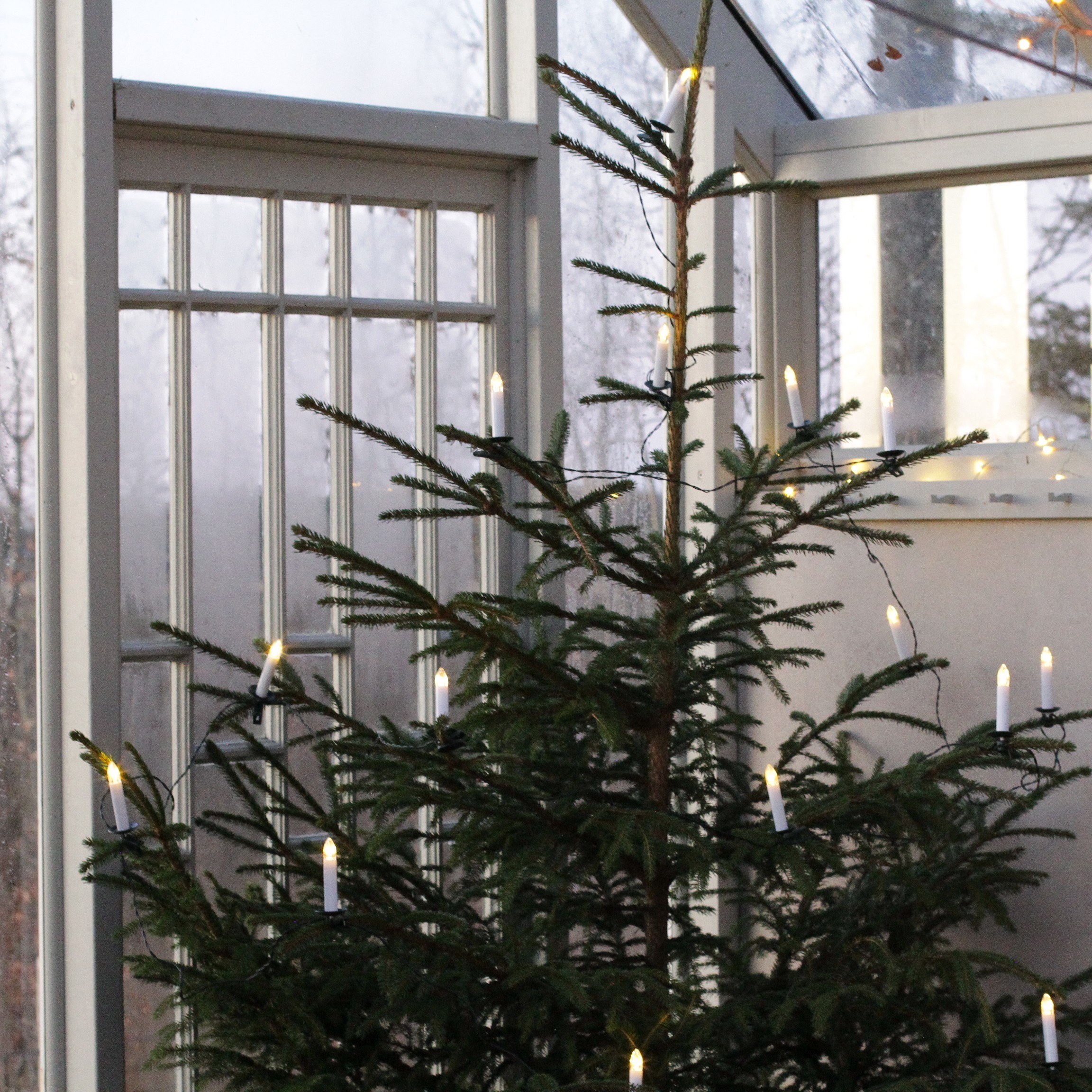 Julgransbelysning  Mini 16 Ljus - För Utomhusbruk