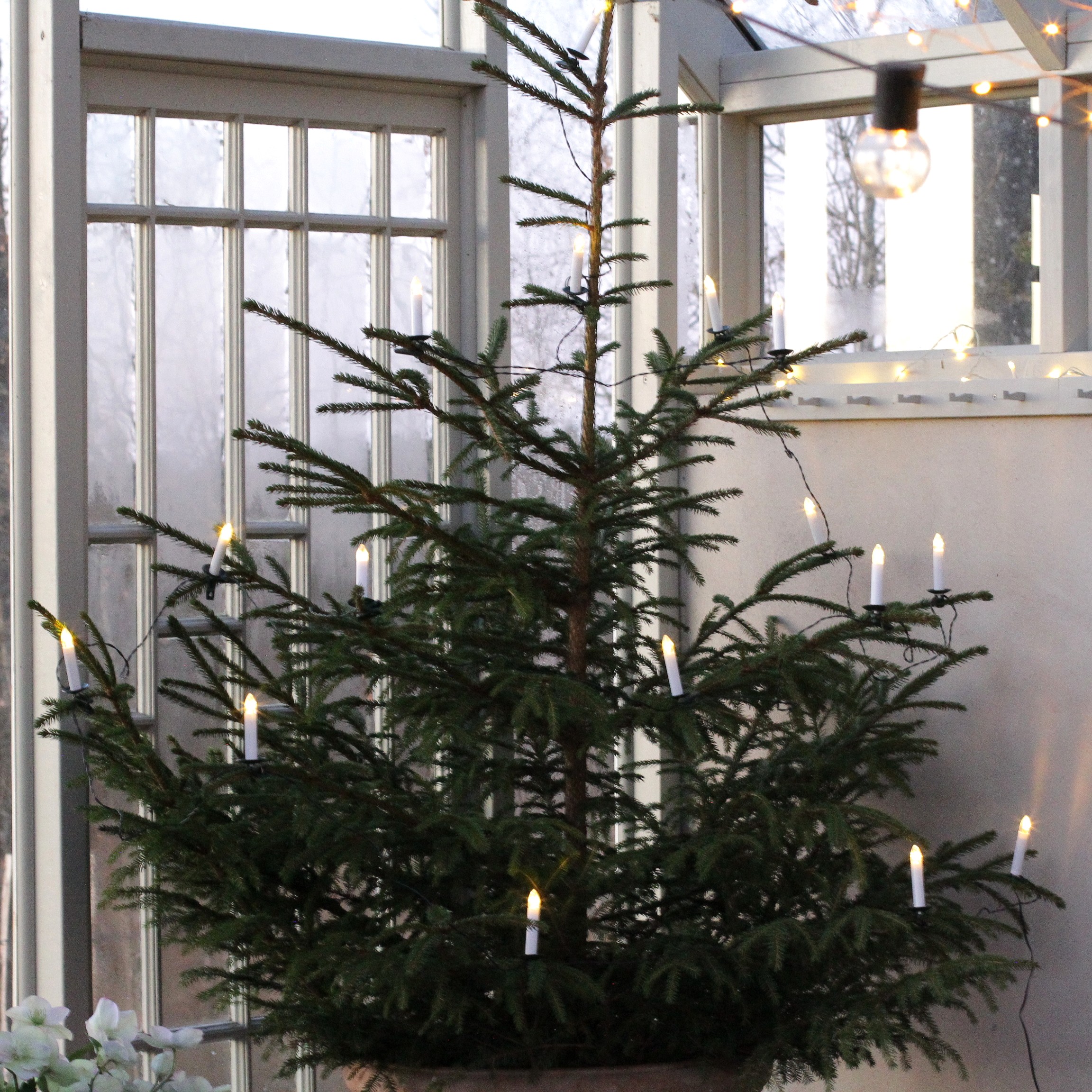 Julgransbelysning  Mini 16 Ljus - För Utomhusbruk - 2