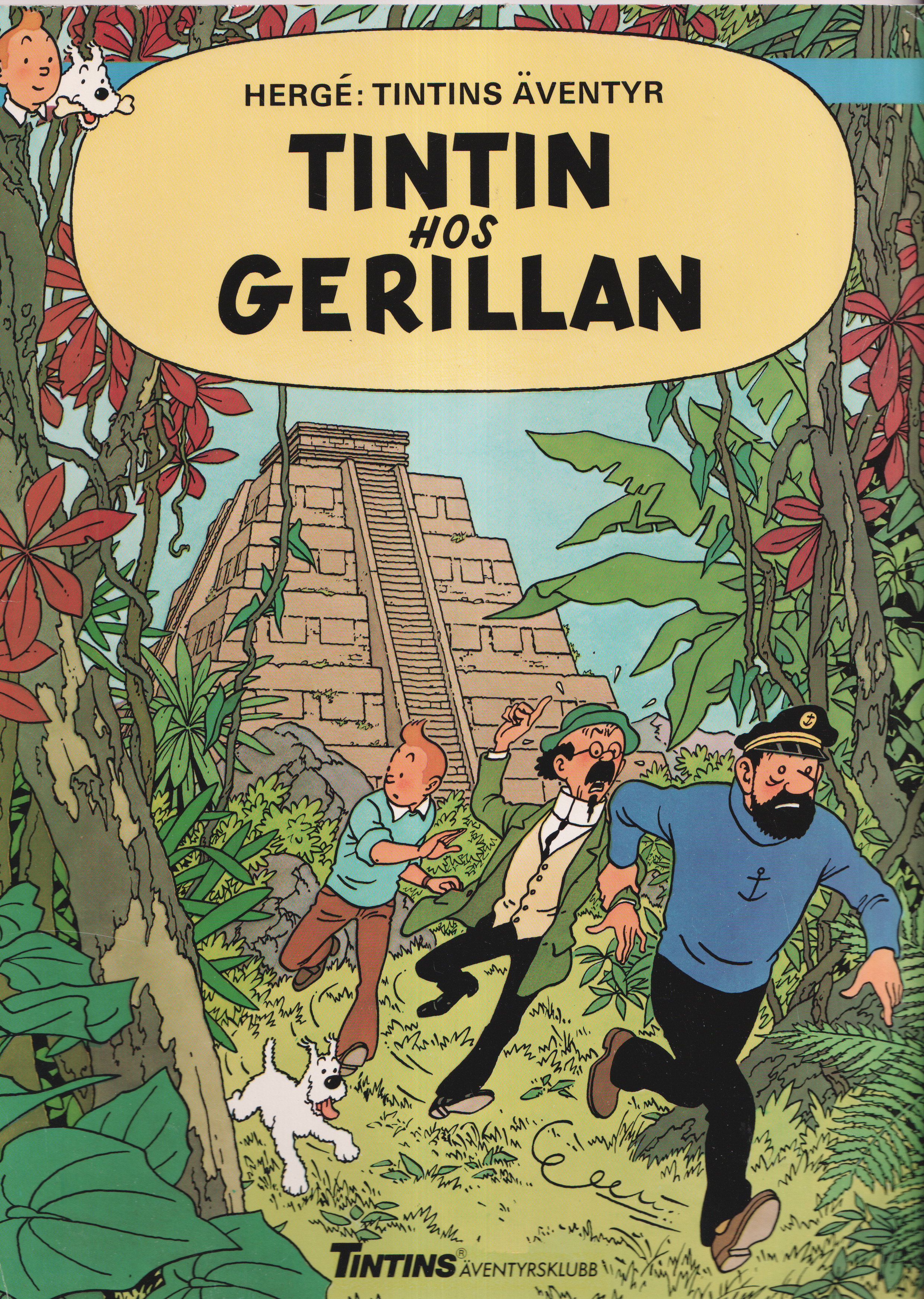 Tintins äventyrsklubb 49, Tintin, Tintin hos gerillan, begagnad