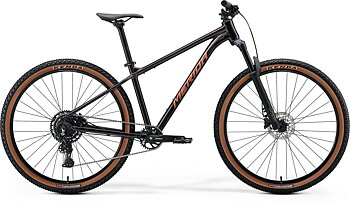 Merida Big.Nine 40