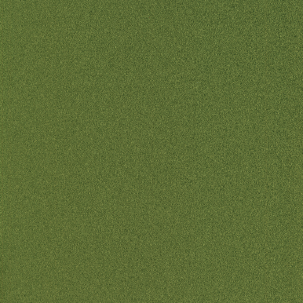 Tovega EN  olive green