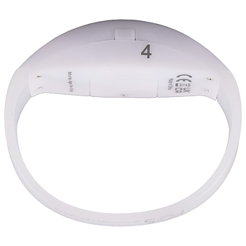GIGBAND LED Zone 4