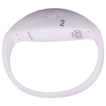 GIGBAND LED Zone 2