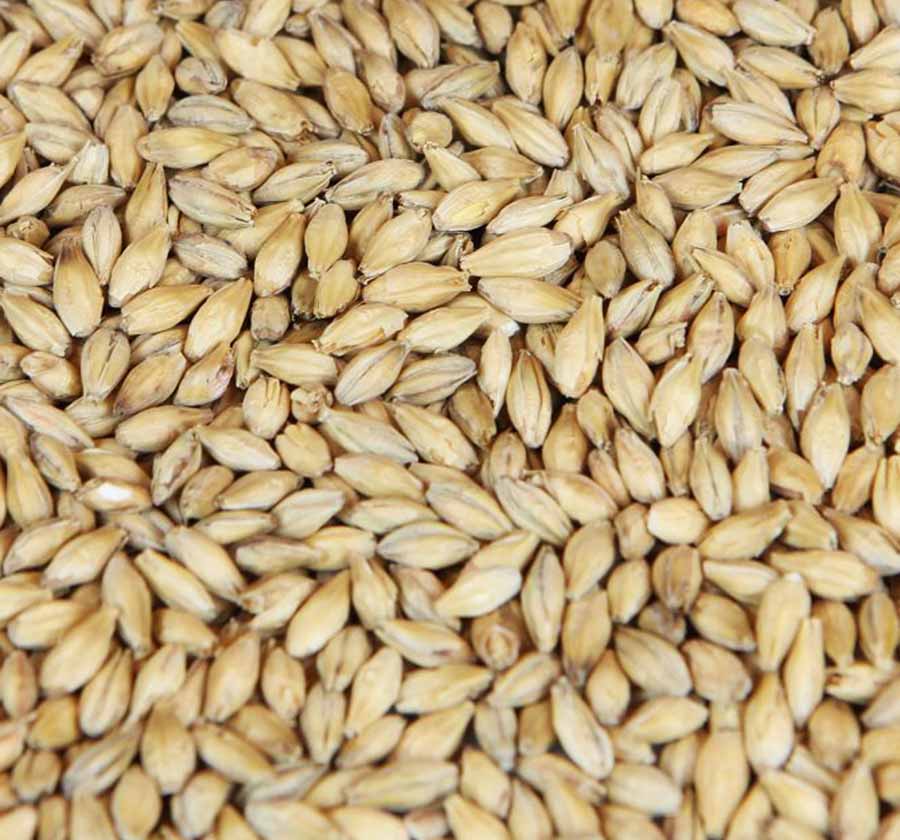 Isaria 1924® Weyermann®, hel malt, 1 kg