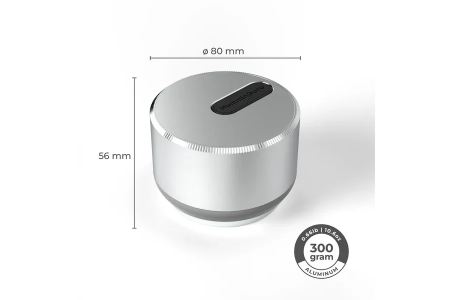 HumminGuru LUMI Record Stabilizer - 2