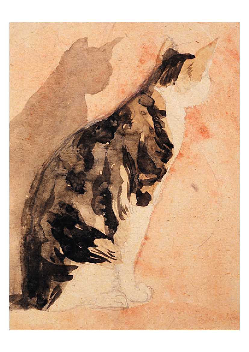 Cats - 50 Postcards - 7