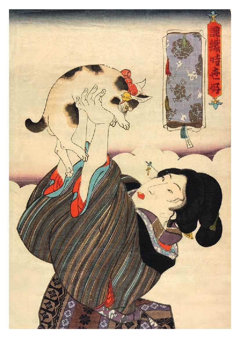 Cats - 50 Postcards - 4