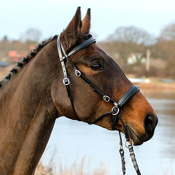 Bitless Bridle Crossunder Globus Winnetou
