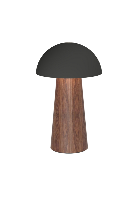 Bello Portable LED lamp Black