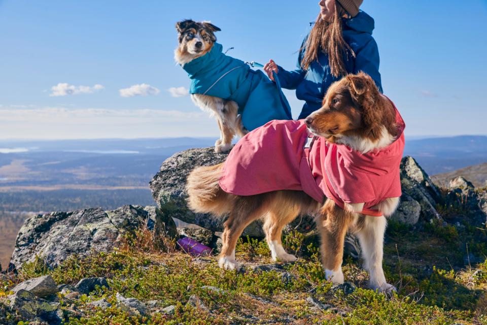 Hurtta Expedition Parka II Dog Coat - Strawberry - waterproof