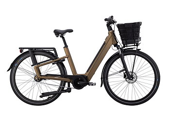 Elcykel Crescent ELSTON 20 5vxl - Forest brown