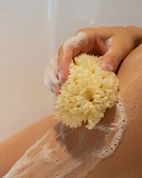 Natural Sea Sponge Najel