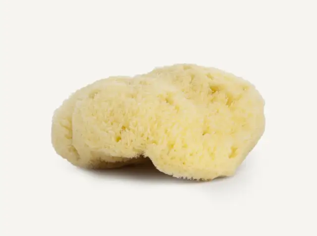 Natural Sea Sponge Najel - 2