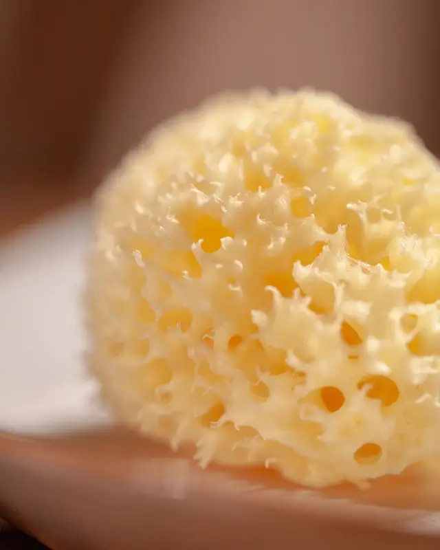 Natural Sea Sponge Najel - 3