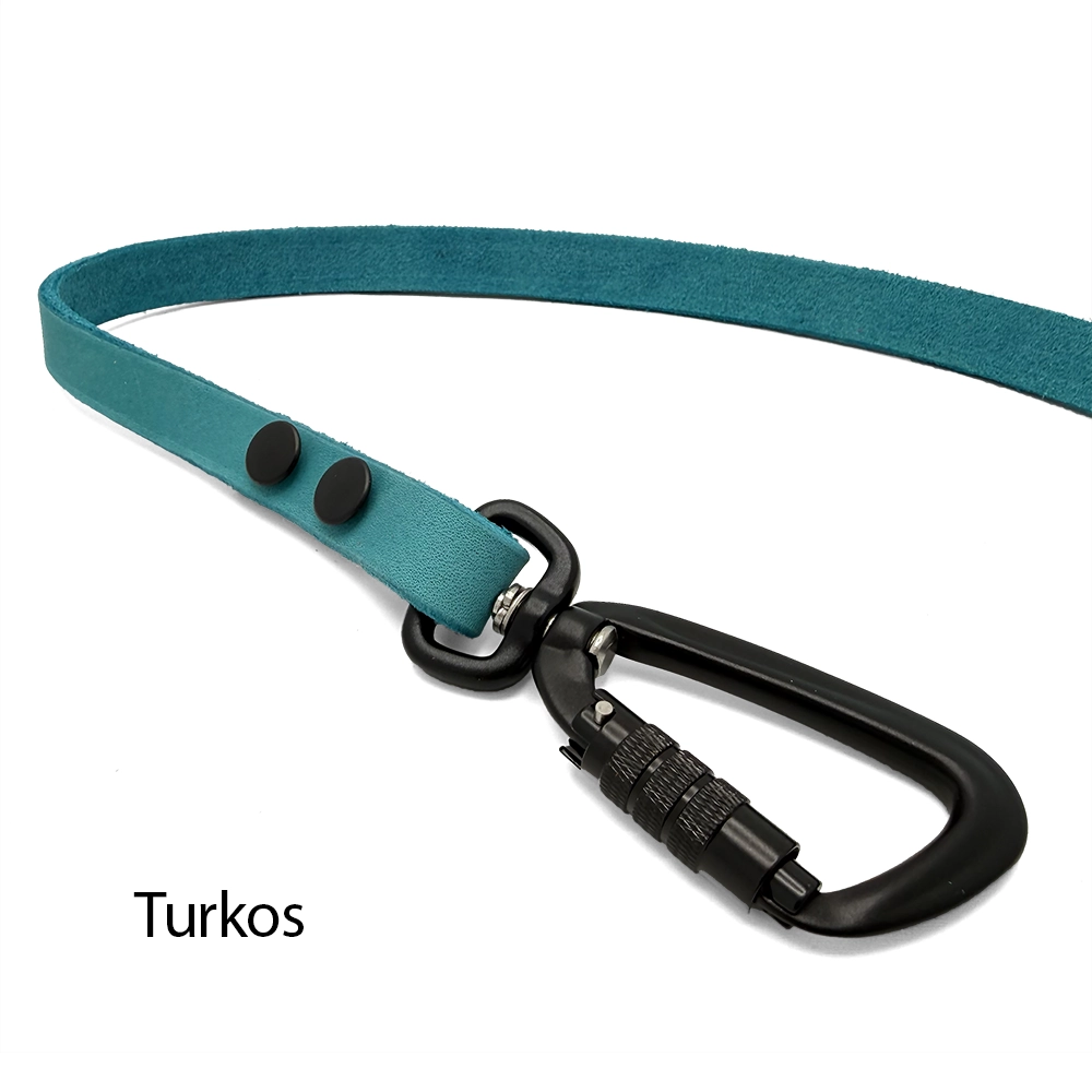 Leather leash of your choose - 8