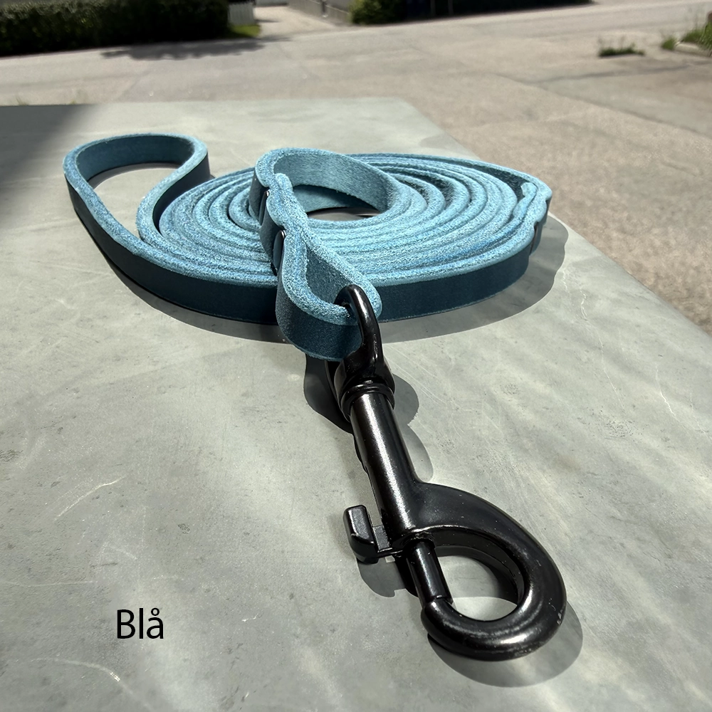 Leather leash of your choose - 11