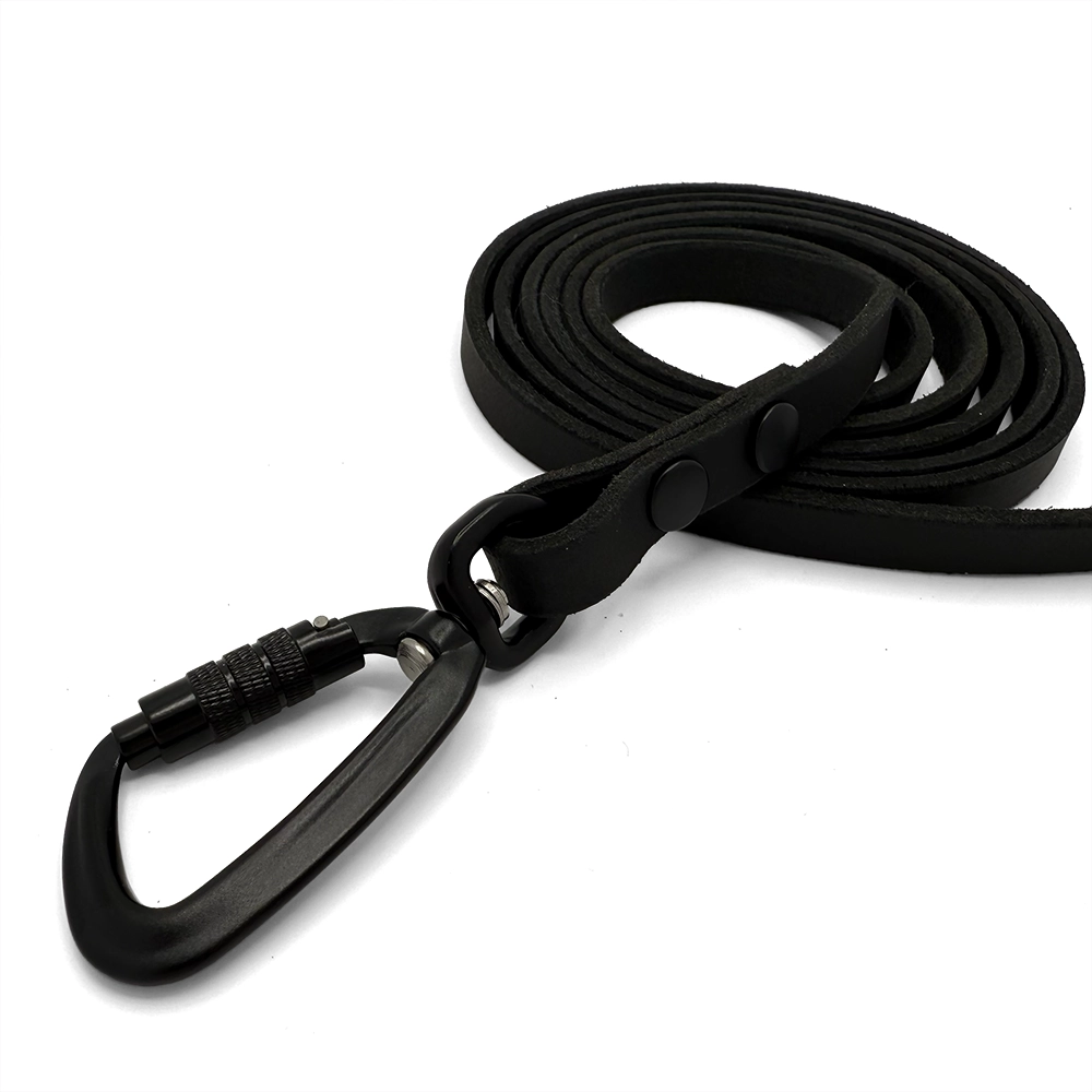 Leather leash of your choose - 10