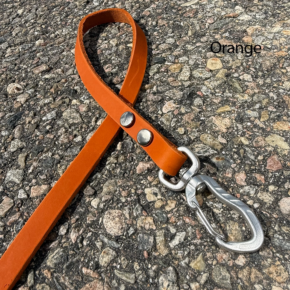 Leather leash of your choose - 5