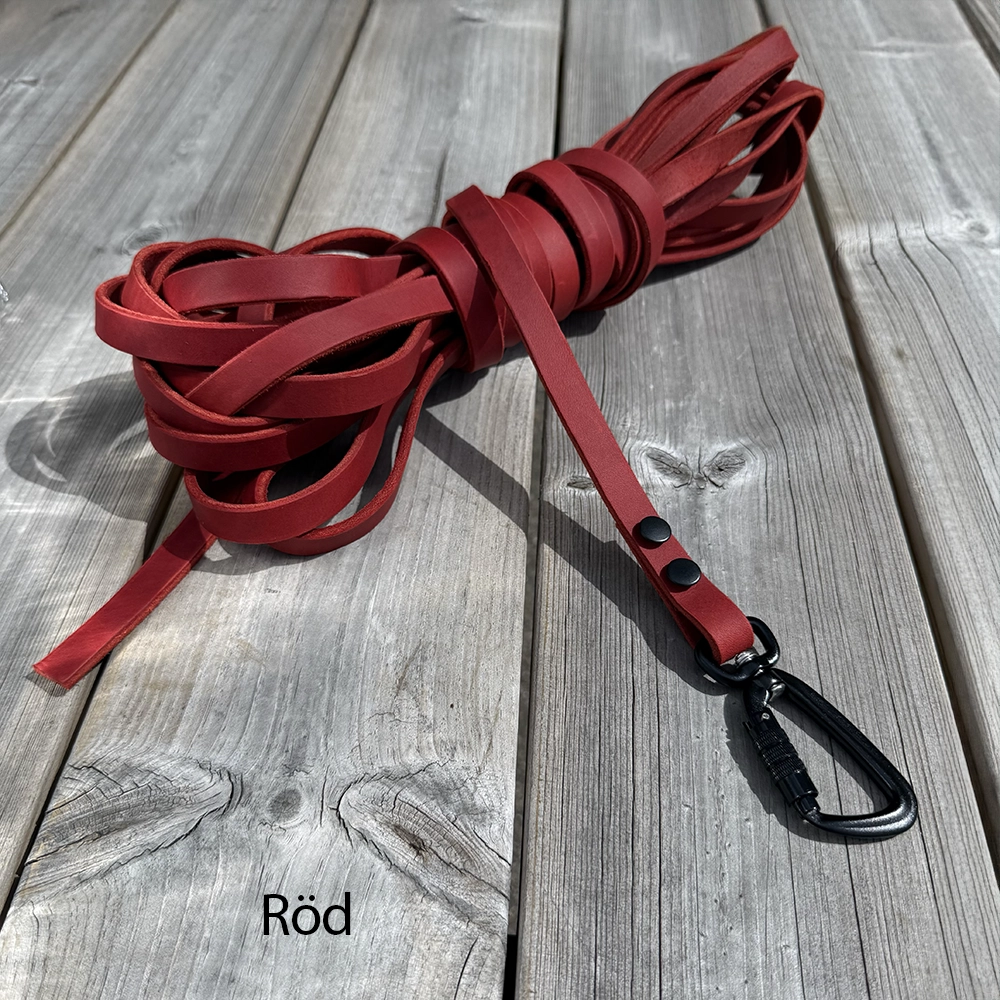 Leather leash of your choose - 9