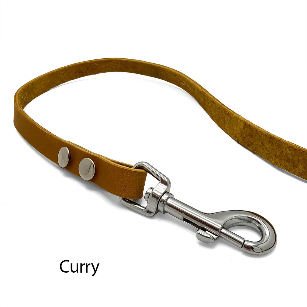 Leather leash of your choose - 12