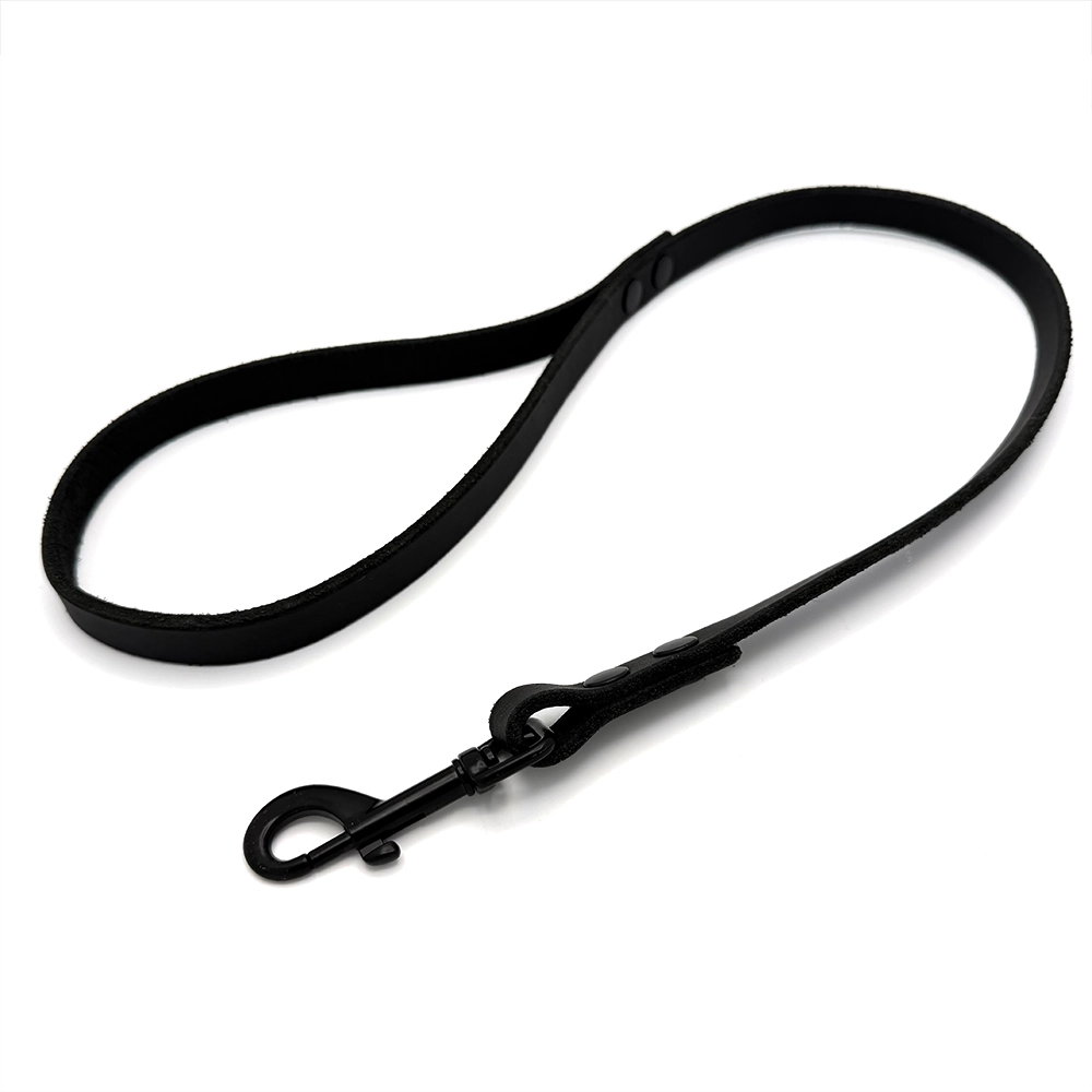 Leather leash of your choose - 6