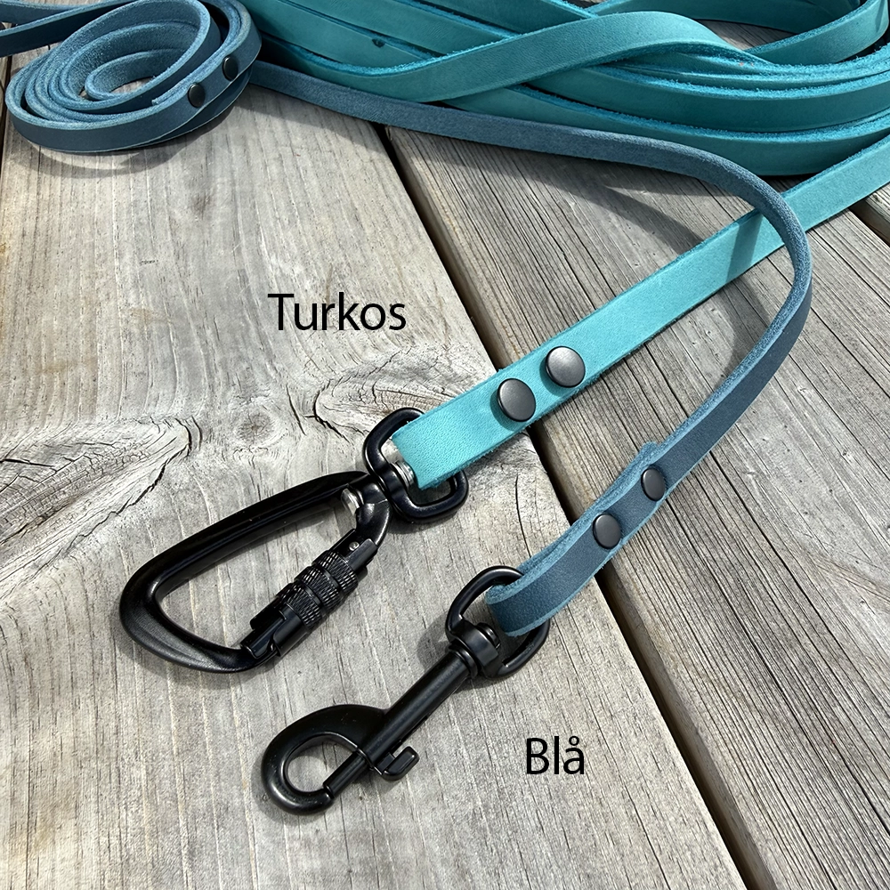 Leather leash of your choose - 14