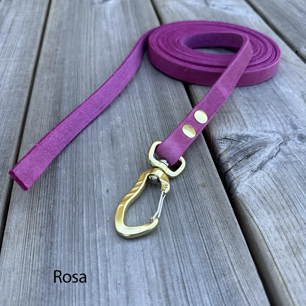 Leather leash of your choose - 13