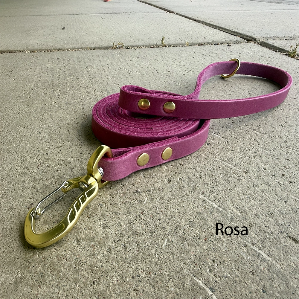 Leather leash of your choose - 4
