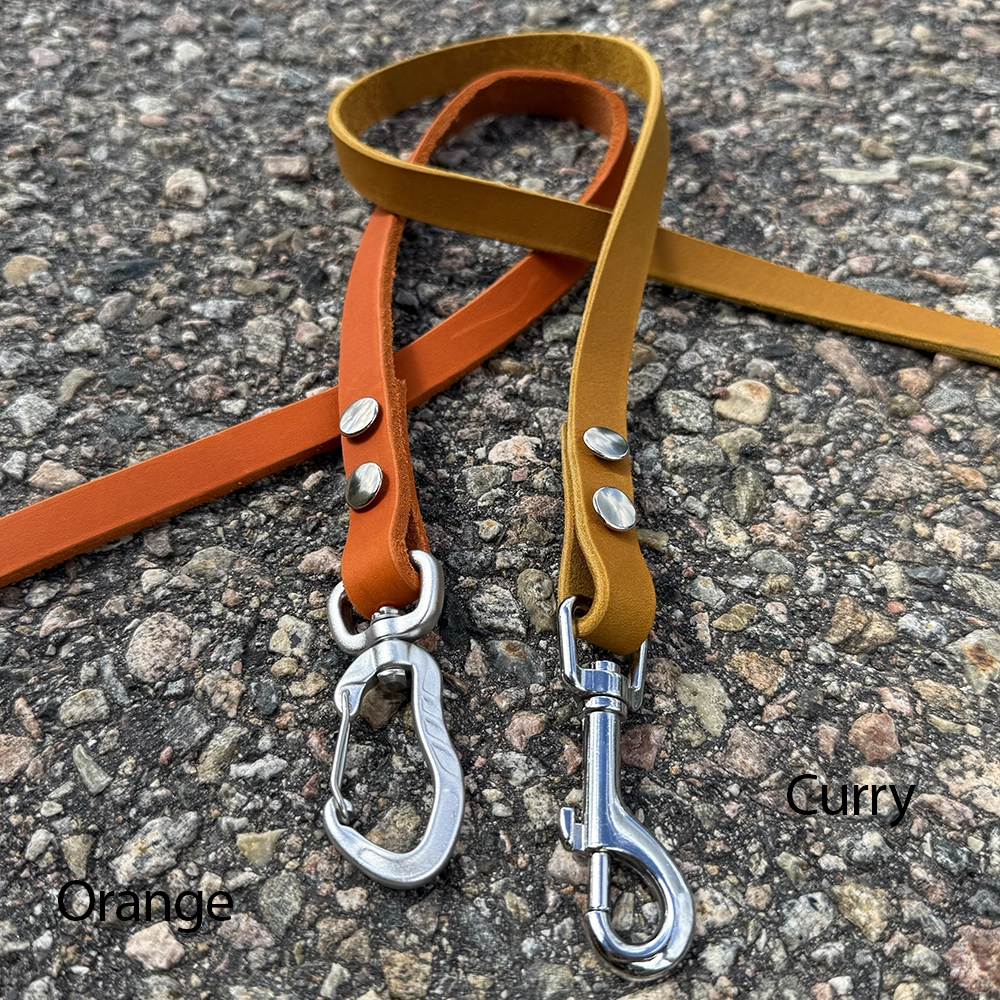 Leather leash of your choose - 15