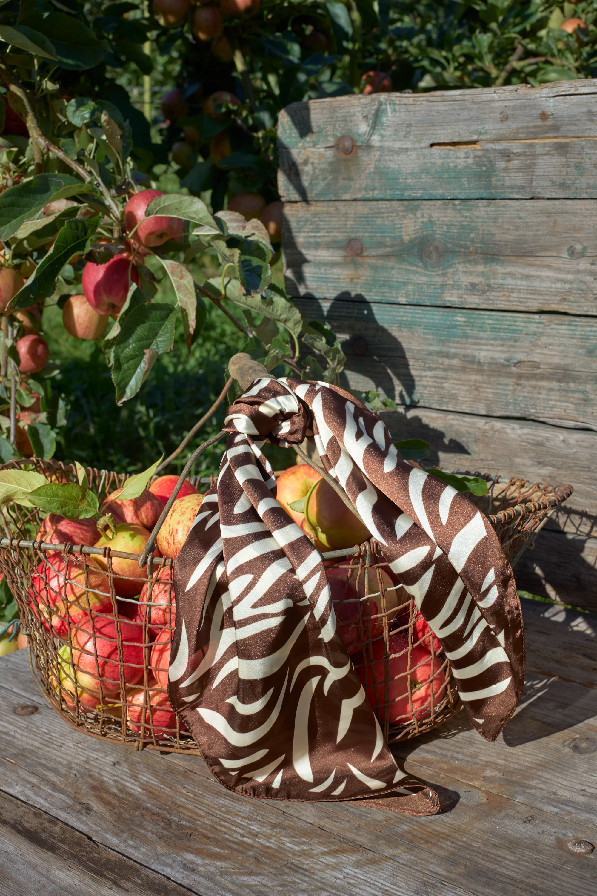 BCISIRA mini scarf Mocca - 3