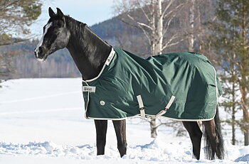 Bucas Greenline Turnout Horse Rug 300g